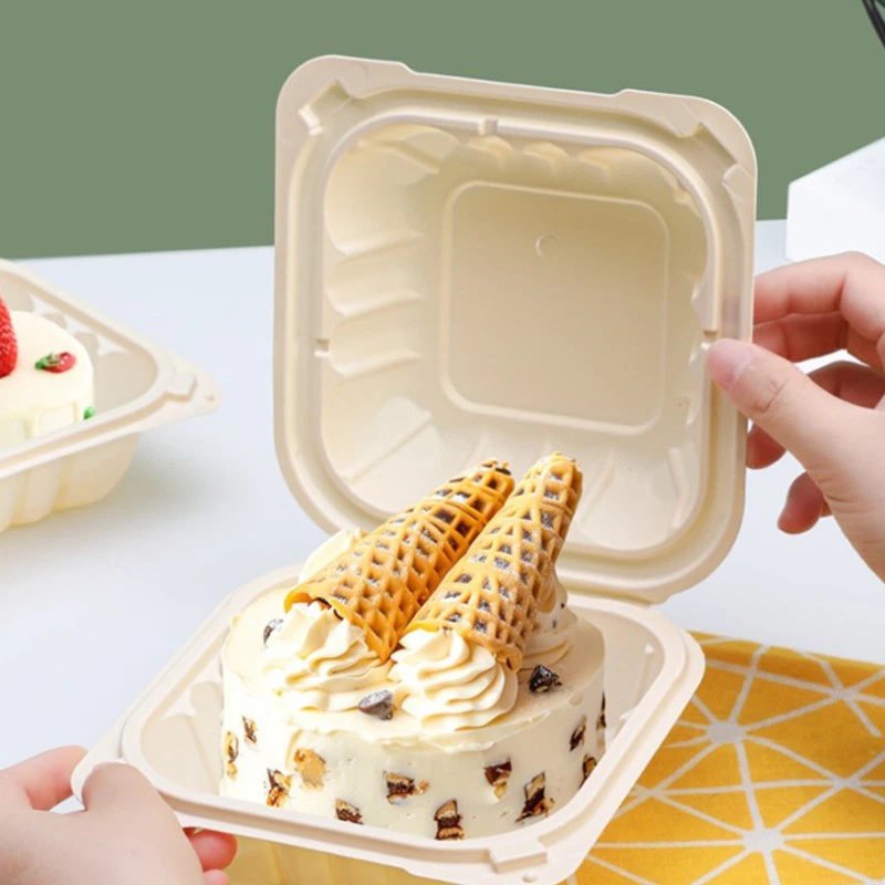 Food Grade PP Multi Grid Packaging Lunch Box